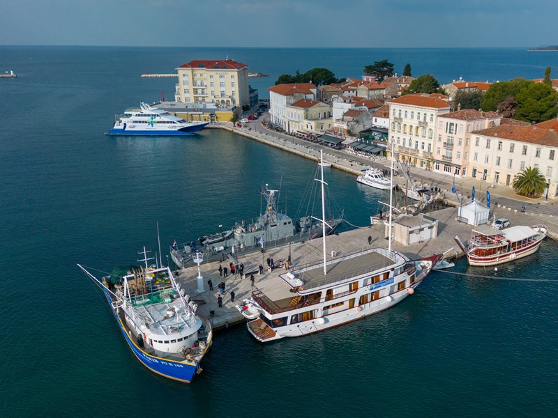 Crofish nel corso degli anni (2016 - 2024)